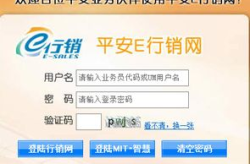 平安e行销网,保险营销的数字化新篇章”