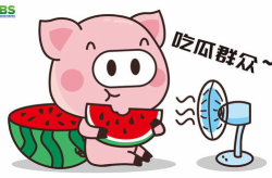 娱乐吃瓜说,吃瓜群众背后的故事
