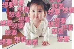 娱乐吃瓜酱小纸条,揭秘娱乐圈幕后故事