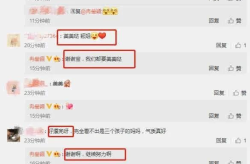 娱乐圈吃瓜小程序有哪些,揭秘明星幕后故事，一键掌握娱乐资讯速递