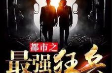 都市之最强狂兵苏锐,苏锐的巅峰逆袭之路