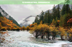 四川特色团队餐厅精选：探寻地道美食之旅！家庭火锅食材大全菜单