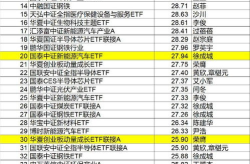 基金519018,“汇添富均衡增长混合型基金（519018）投资解析与业绩回顾”