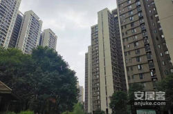 都市天骄,崛起于繁华都市的传奇人生