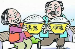 城乡居民社会养老保险