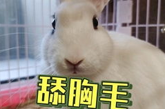 抖音吃瓜男网红道歉了吗,真相大白，网友热议