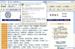 中文域名,探索新时代互联网标识的变革之路