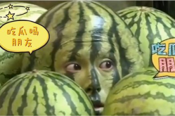 娱乐吃瓜地,吃瓜群众背后的故事