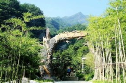 画眉谷门票,门票价格与景区亮点全解析”
