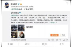 娱乐吃瓜酱流量,揭秘流量背后的秘密与真相